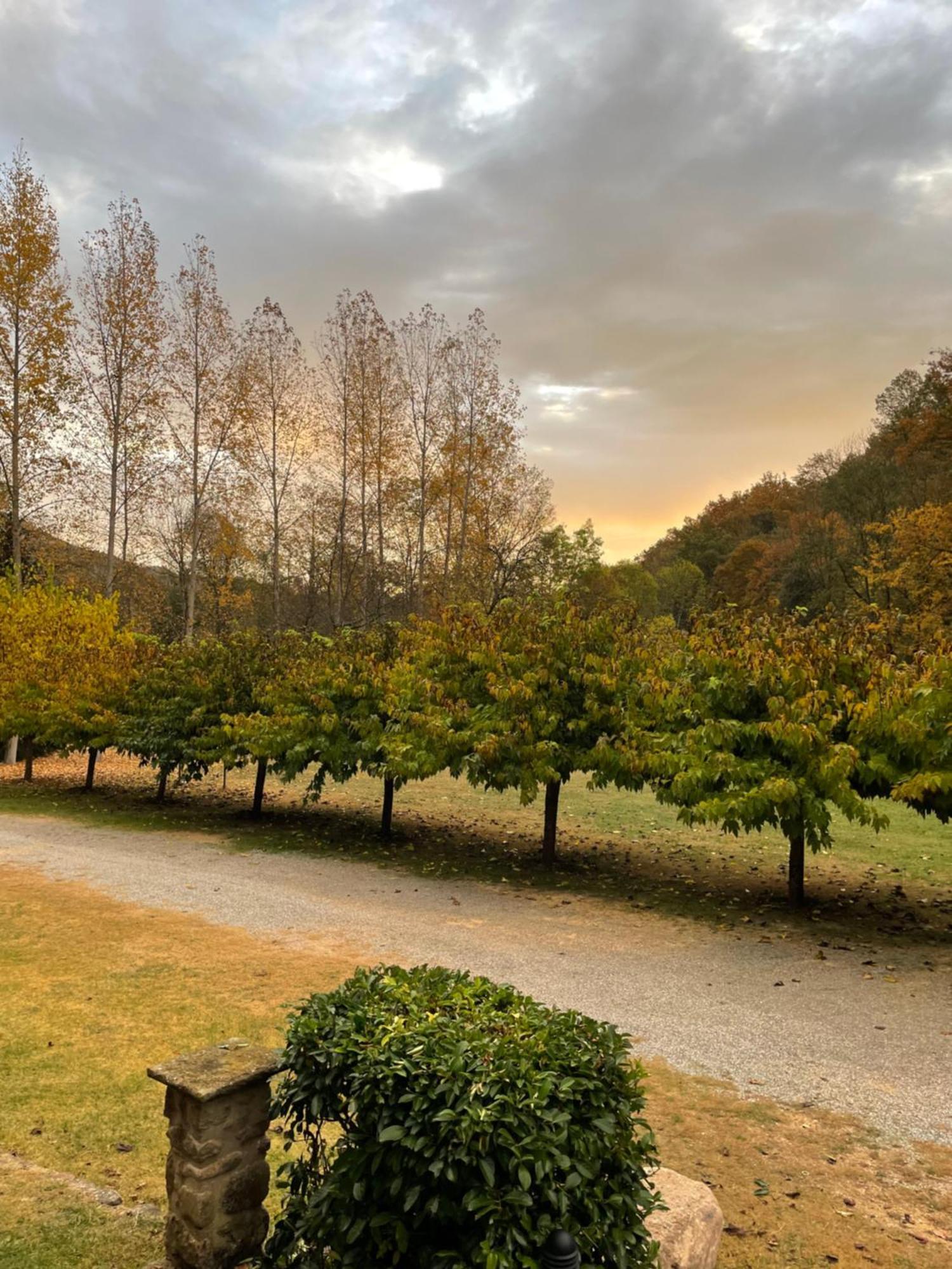 Can Torrotes La Vall de Bianya Ngoại thất bức ảnh