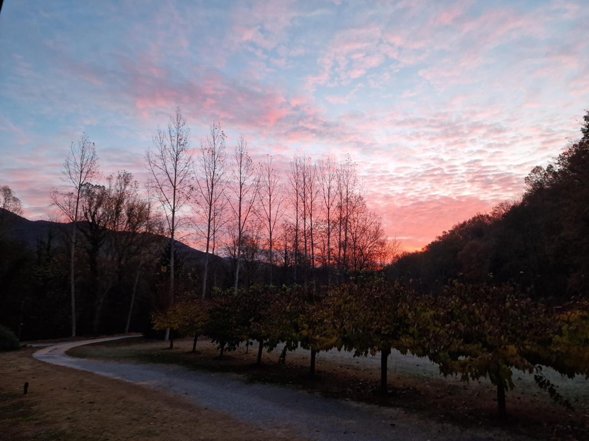 Can Torrotes La Vall de Bianya Ngoại thất bức ảnh